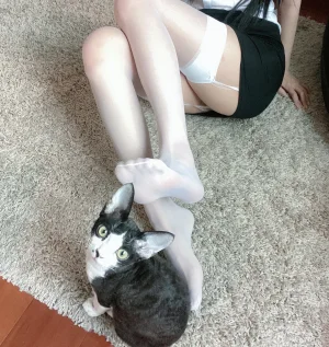 《OL》｜51酱 · 20张写真、2 个视频