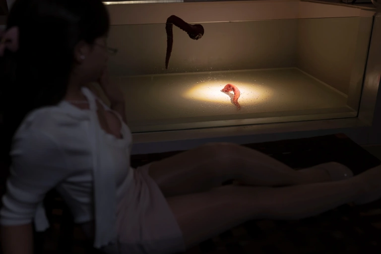 《触手来袭》｜Bangni邦尼 · 97张写真