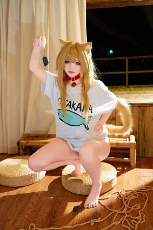 《黄豆粉 40猫》｜阿薰kaOri · 212张写真、3 个视频