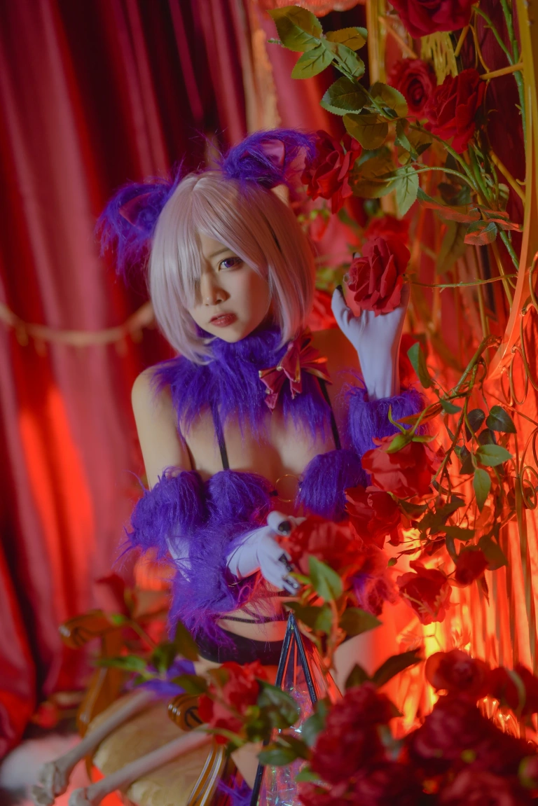 《Fate玛修万圣节》｜二佐Nisa · 23张写真