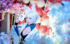 《碧蓝航线 加贺》｜二佐Nisa · 40张写真