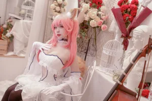 《Fate玉藻前婚纱》｜二佐Nisa · 9张写真