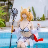 二佐Nisa