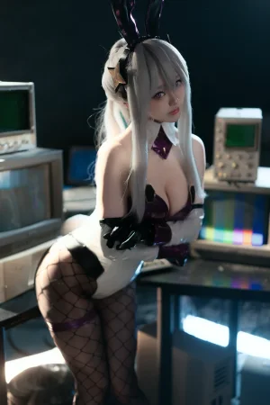 《碧蓝航线 奇尔沙治兔女郎》｜前野太太 · 43张写真、2 个视频