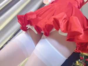 《圣诞比基尼+连衣裙》｜一只废喵 · 72张写真、3 个视频