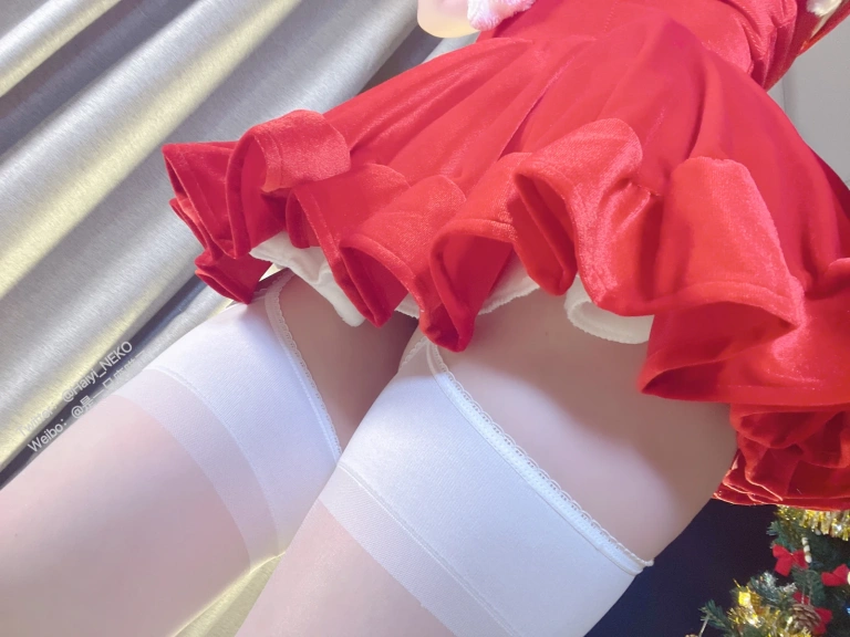 《圣诞比基尼+连衣裙》｜一只废喵 · 72张写真、3 个视频