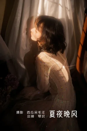 《夏夜晚风》｜清青琴玖 · 21张写真