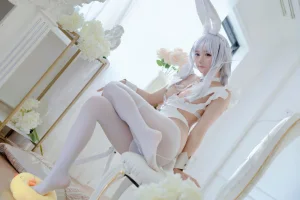 《碧蓝航线 恶毒 白兔》｜喜欢爱理吗 · 37张写真
