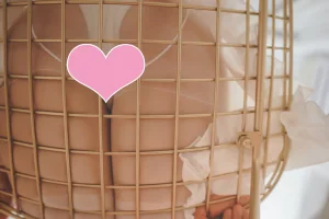 《白色空间 假过膝》｜面饼仙儿 · 10张写真