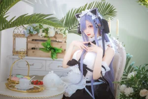 《奥古斯特 女仆》｜小野寺地瓜 · 10张写真