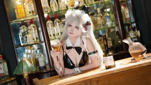 《碧蓝航线 欧根 兔女郎》｜三無人型 · 26张写真