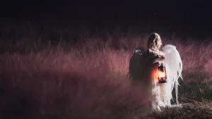 《粉天使》｜清青琴玖 · 24张写真