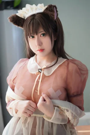 《棕色透明女仆》｜虎森森 · 35张写真