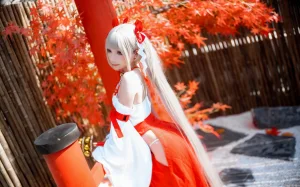 《碧蓝航线 可畏巫女》｜是三不是世 · 21张写真