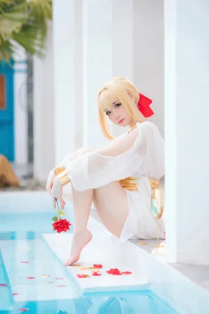 《FGO 尼禄礼服》｜焖焖碳 · 27张写真
