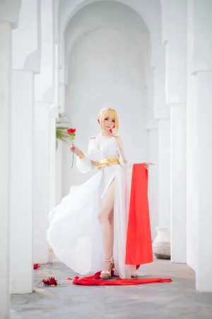《FGO 尼禄礼服》｜焖焖碳 · 27张写真