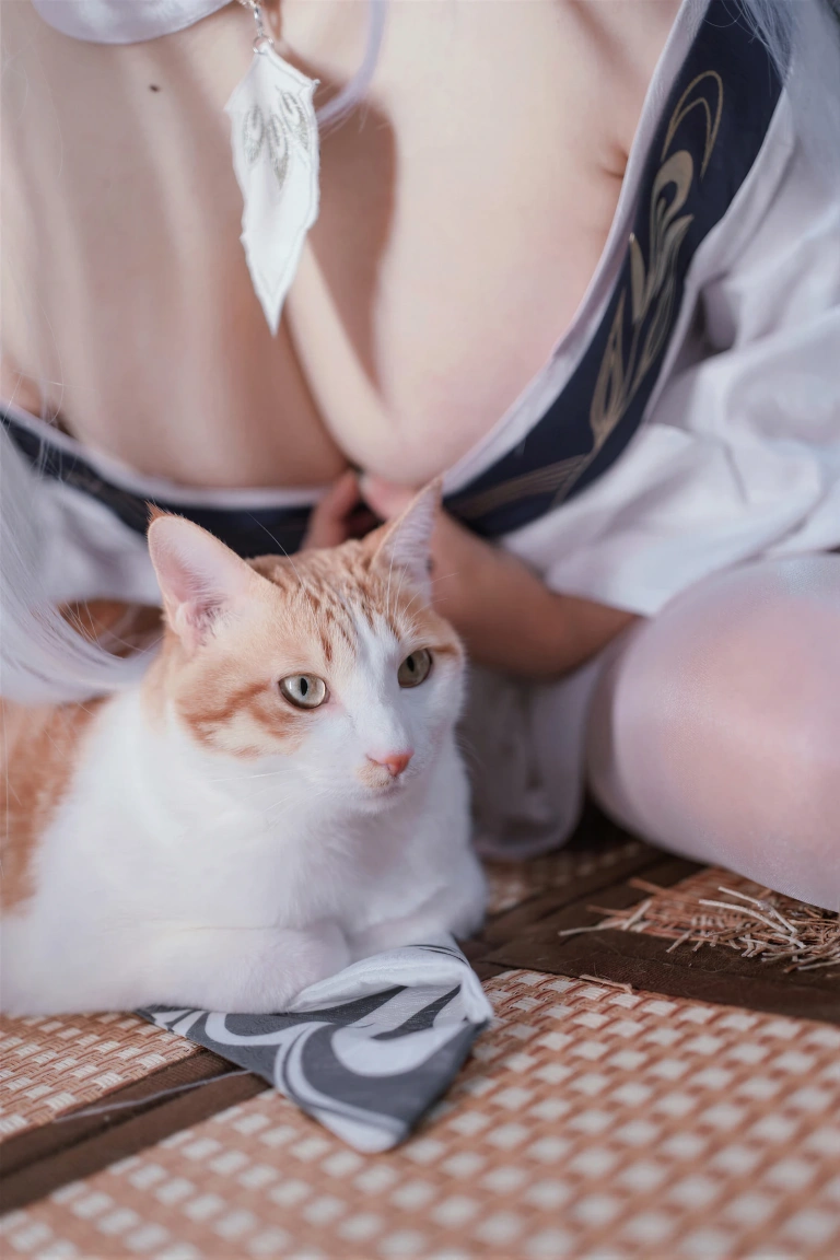 《碧蓝航线 白凤和服》｜阿半今天很开心 · 60张写真、1 个视频