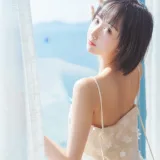 木棉棉