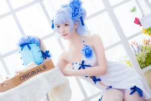《《花鸟风月》 花与旗袍 蓝》｜星之迟迟 · 20张写真