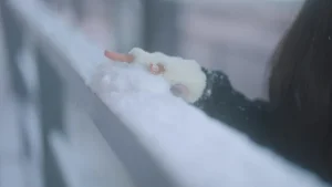 《下雪》｜蠢沫沫 · 张写真、1 个视频