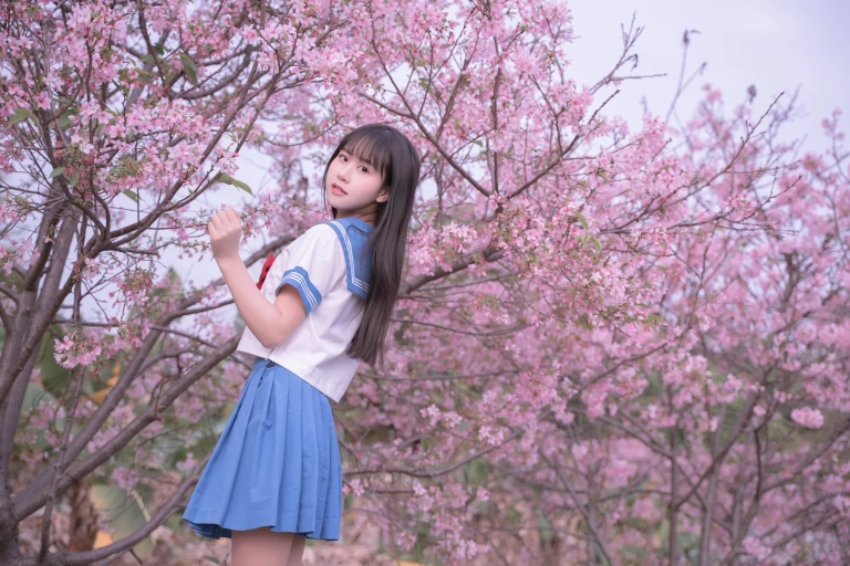 《樱花jk》｜萌芽儿o0 · 30张写真