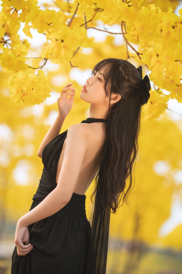 《秋有银杏 春有黄风铃》｜萌芽儿o0 · 23张写真