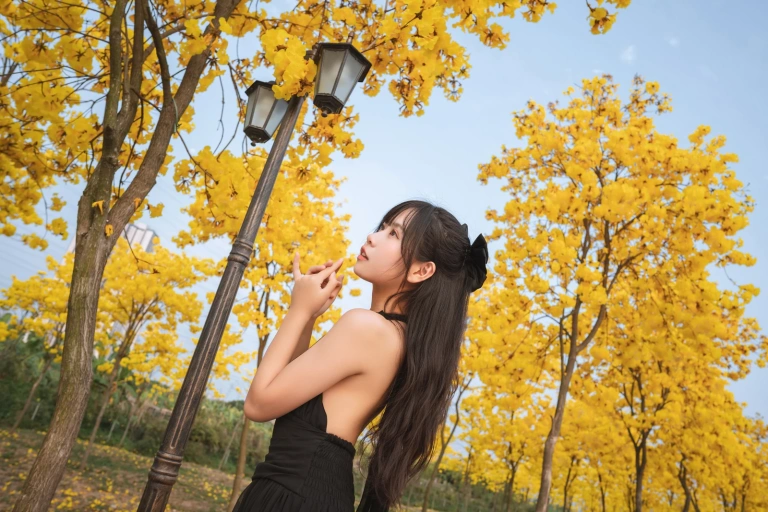《秋有银杏 春有黄风铃》｜萌芽儿o0 · 23张写真