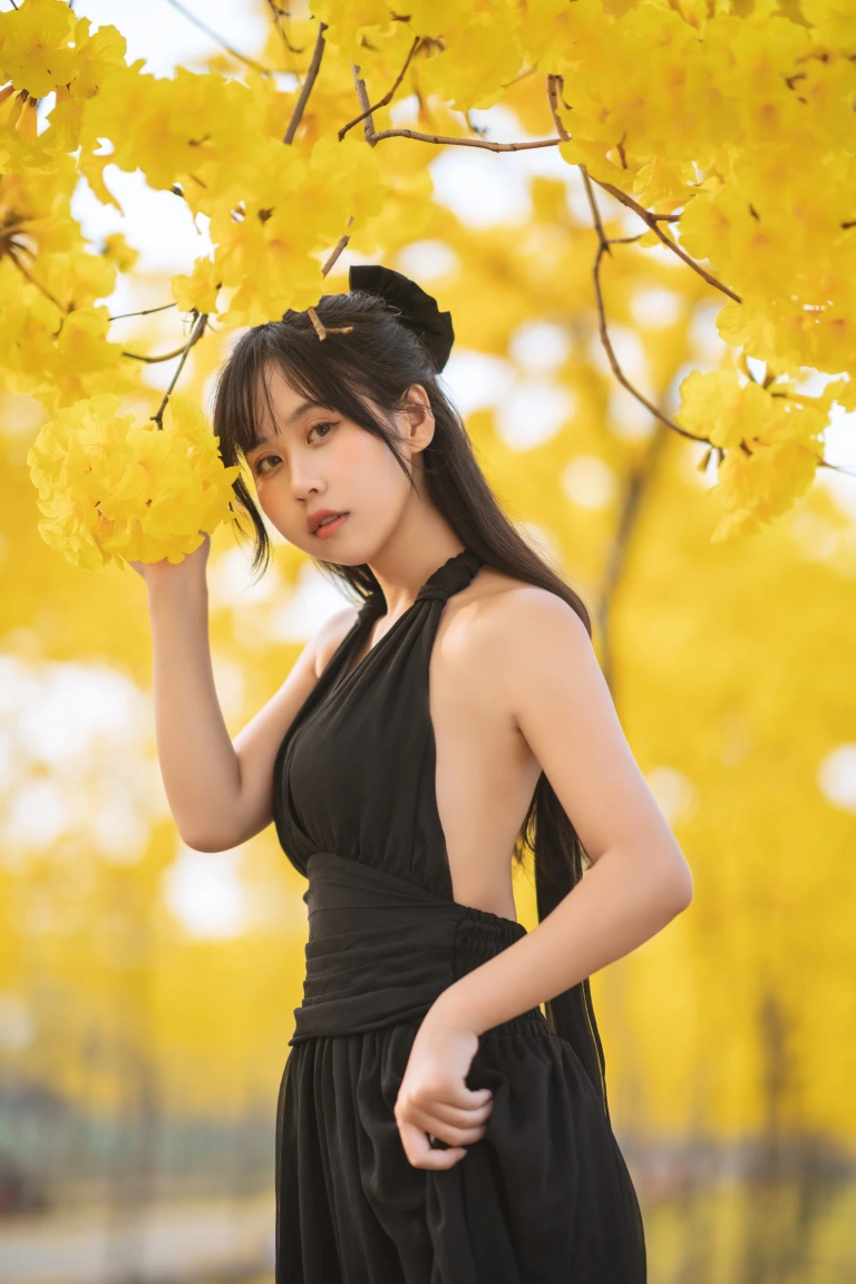 《秋有银杏 春有黄风铃》｜萌芽儿o0 · 23张写真