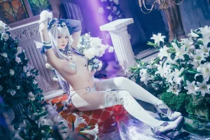 《崩坏星穹铁道 遐蝶》｜霜月shimo · 23张写真
