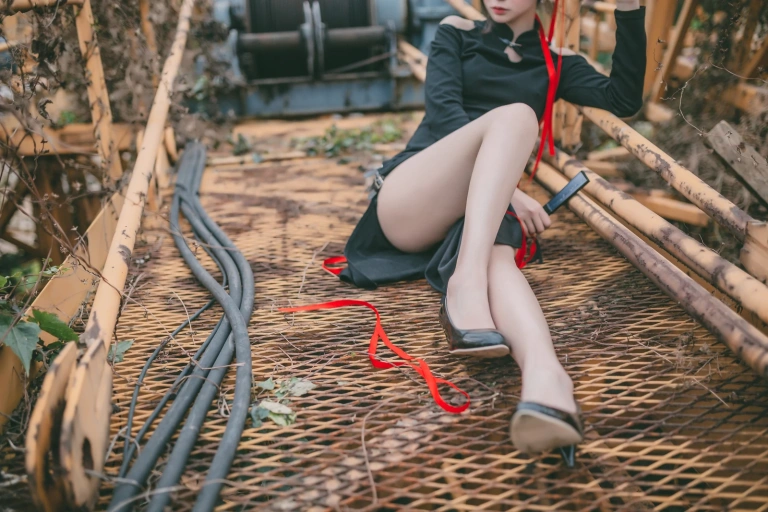 《旗袍》｜疯猫ss · 20张写真