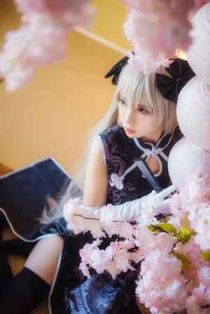 《穹妹旗袍》｜疯猫ss · 24张写真