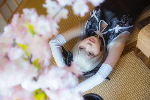 《穹妹旗袍》｜疯猫ss · 24张写真